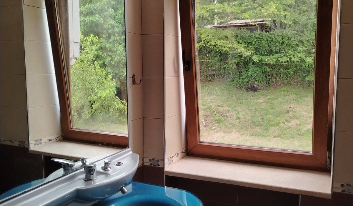Image11