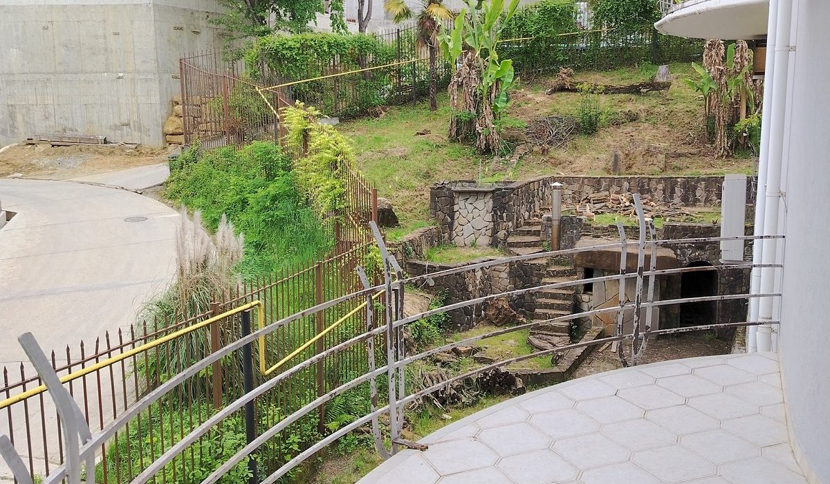 Image13